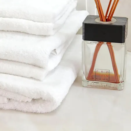 Vatican Basilica 公寓